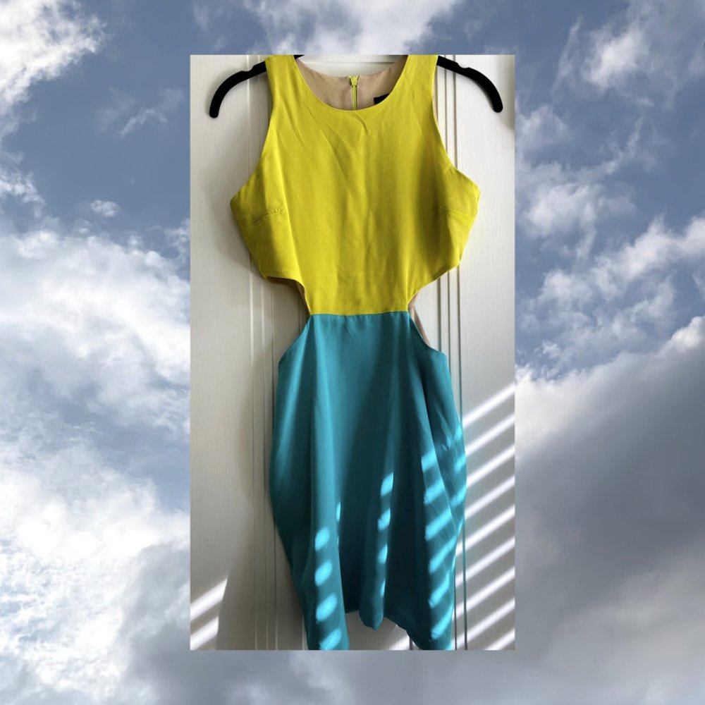 Naven Two Tone Dress